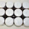 Case Bulk Packed of 12 - Genuine Motorcraft FL400S Engine Oil Filter E4FZ6731B - Image 6