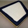 Genuine Ecogard XA6131 Premium Engine Air Filter replaces ACDelco A3138C A3238C - Image 3