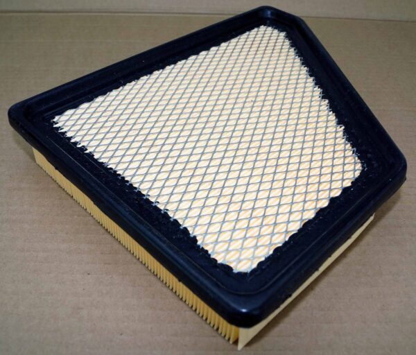 Genuine Ecogard XA6131 Premium Engine Air Filter replaces ACDelco A3138C A3238C - Image 3