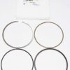 Genuine OEM 12616973 GM Piston Ring Kit