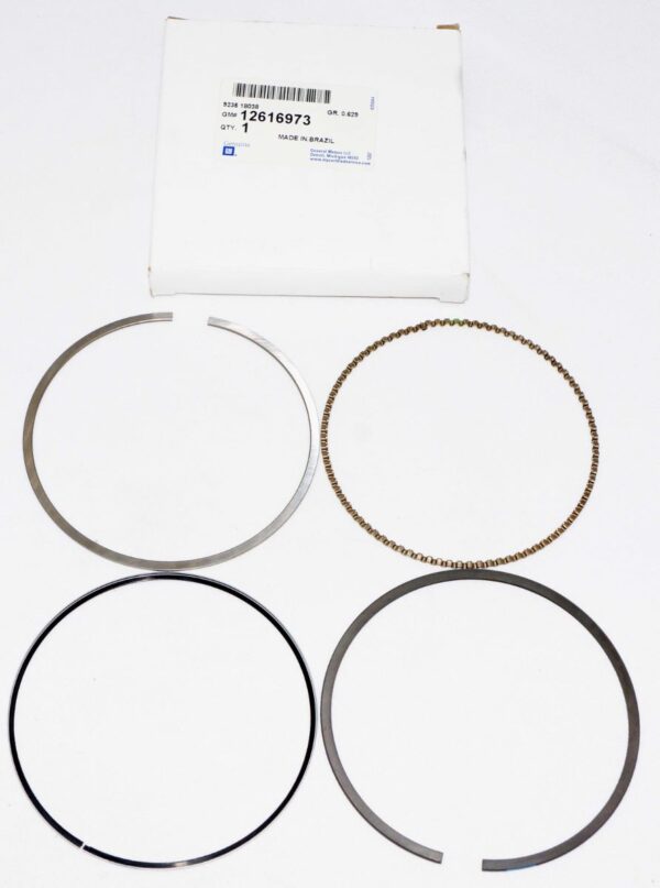 Genuine OEM 12616973 GM Piston Ring Kit