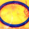 Genuine OEM 1436642 Seal O-Ring Caterpillar CAT