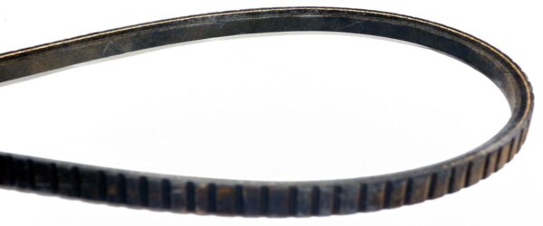 Dayco 18590 Accessory Drive Belt - Image 4