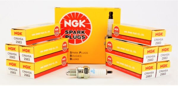 Pack of 10 Genuine NGK 2983 Spark Plugs Standard CR6HSA