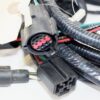 F3HZ13076A Freightliner LH Headlamp Wire Lead Harness - Image 3