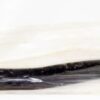 Genuine OEM 6L3Z1521453A Ford Belt Molding