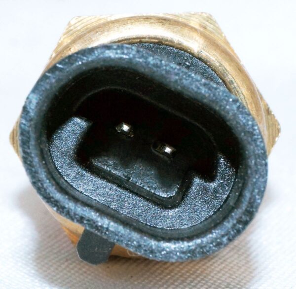Delphi TS10076 Engine Coolant Temperature Sensor - Image 4