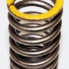 Genuine OEM 2222125020 Kia Engine Valve Spring