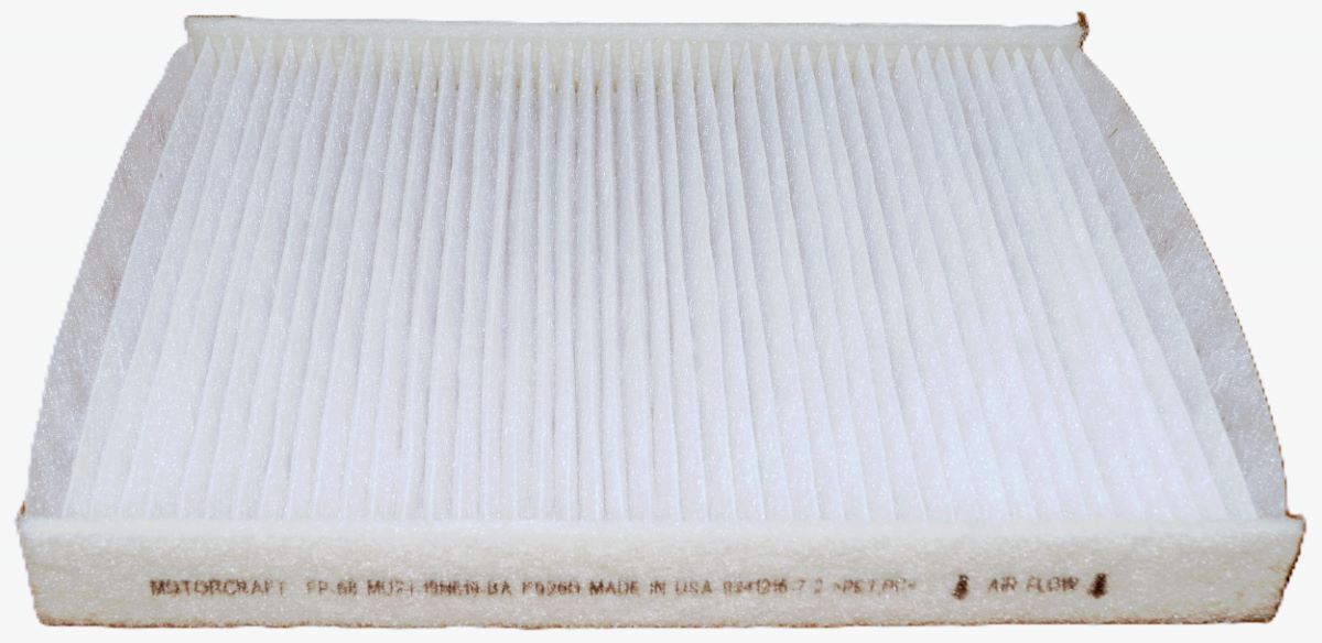 Genuine OEM Motorcraft FP68 Cabin Air Filter AE9Z19N619A