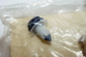 Genuine OEM Mopar Door Trim Panel Retainer [1] 06505759AA